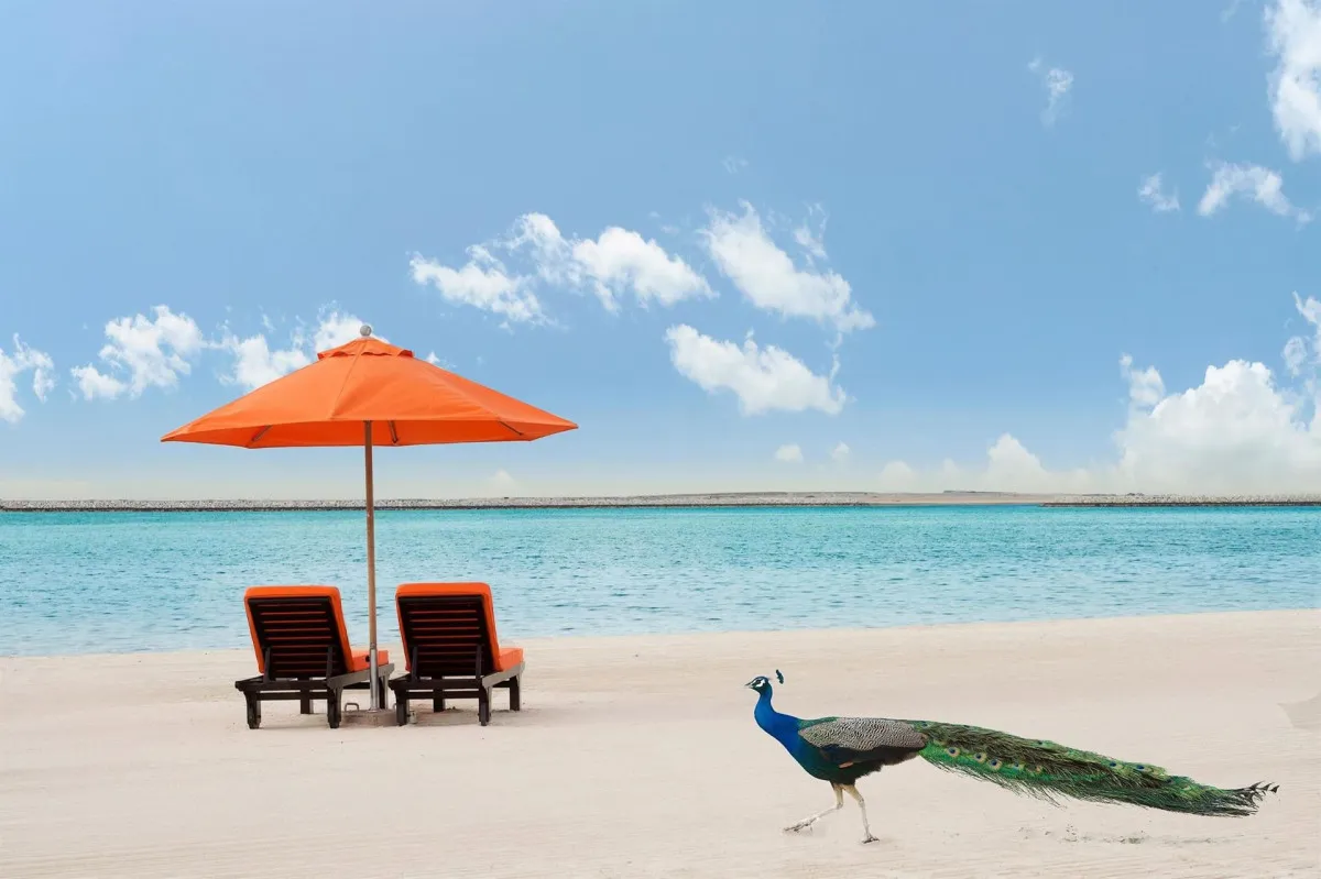 JA PALM TREE COURT (JEBEL ALI GOLF RESORT)