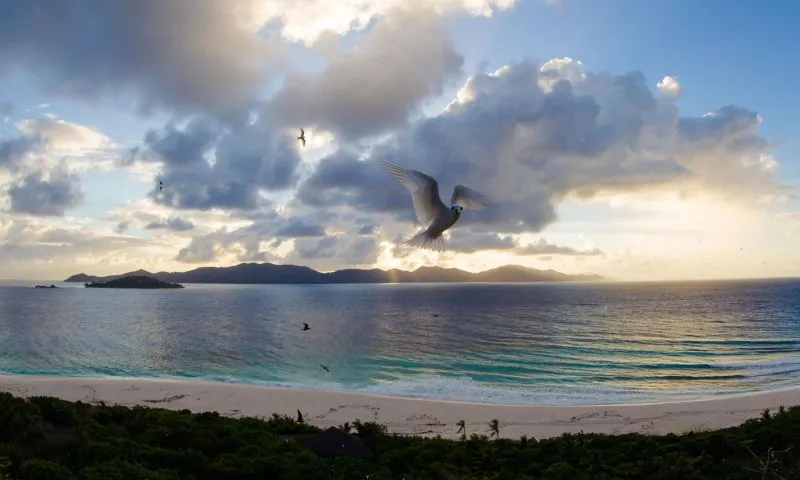COUSINE ISLAND RESORT