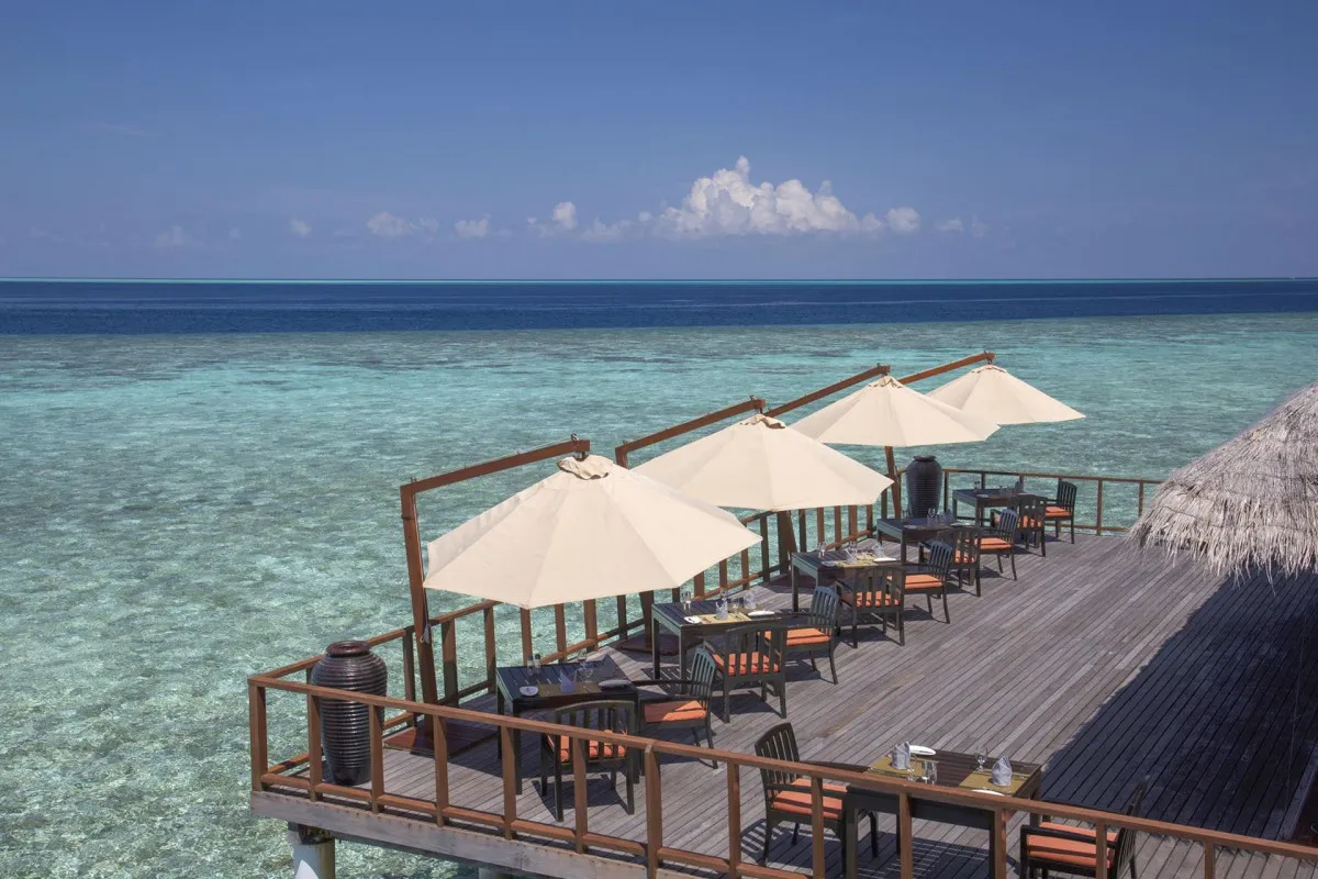 COCO BODU HITHI