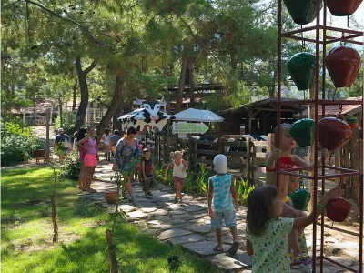 HOLIDAY AREA ECO DREAM
