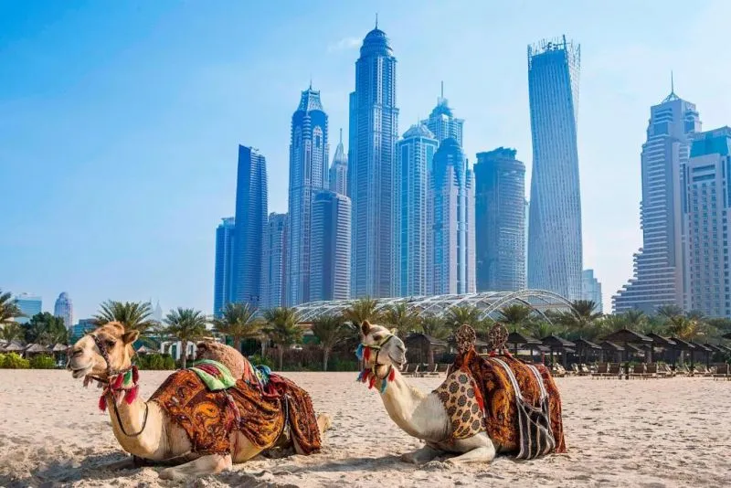 AL HABTOOR GRAND RESORT AUTOGRAPH COLLECTION