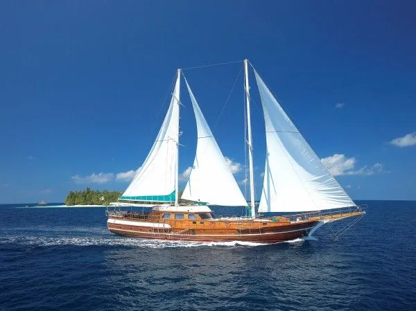 BANYAN VELAA