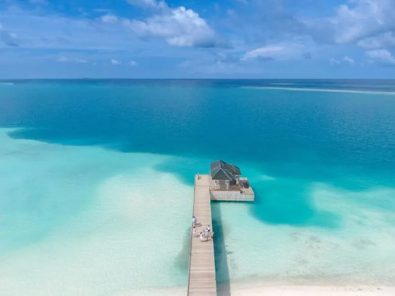 JOY ISLAND