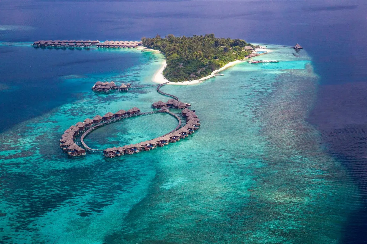 COCO BODU HITHI