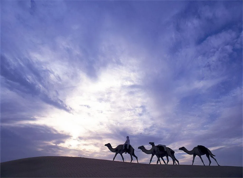 AL MAHA A LUXURY COLLECTION DESERT RESORT & SPA