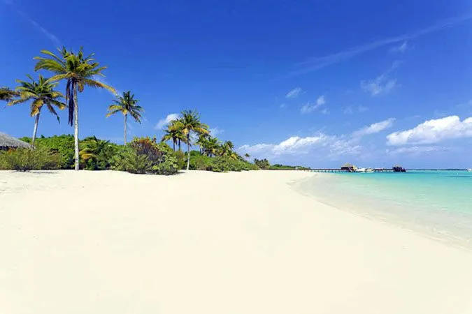ZITAHLI DHOLHIYADHOO