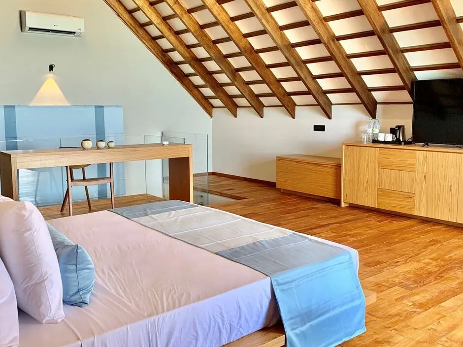 CINNAMON VELIFUSHI