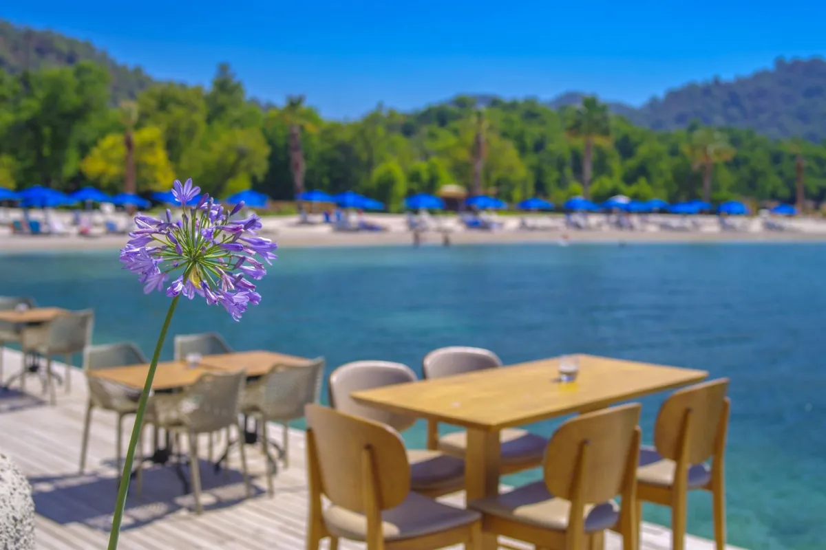 THE BAY BEACH CLUB & PORT SIGL