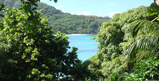 JA ENCHANTED ISLAND RESORT
