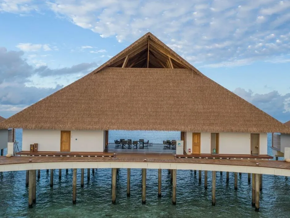 CINNAMON VELIFUSHI