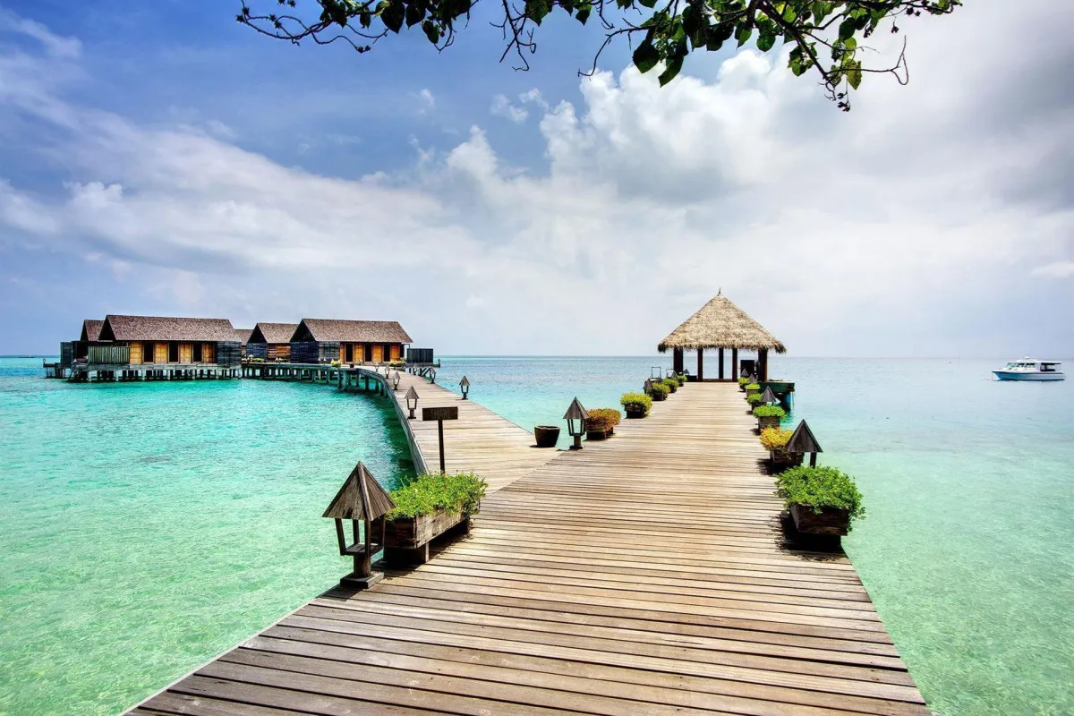 GANGEHI ISLAND RESORT