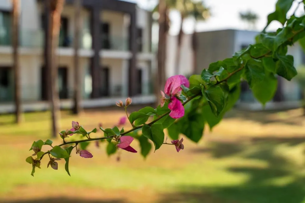 HILLSTONE BODRUM HOTEL & SPA (EX. GRAND YAZICI BODRUM)