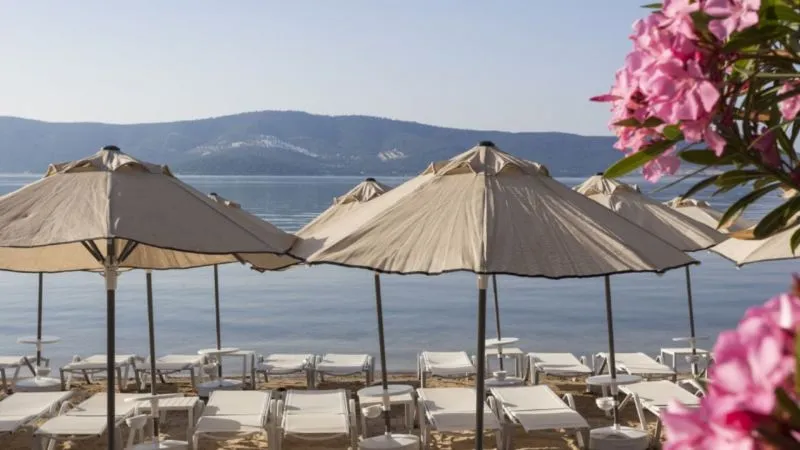 HALAL PARADISE DIDIM