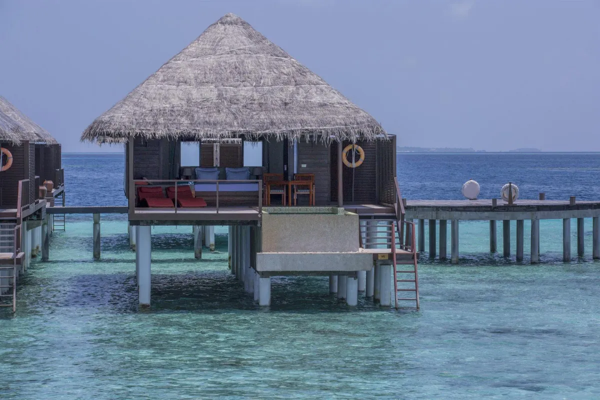 COCO BODU HITHI