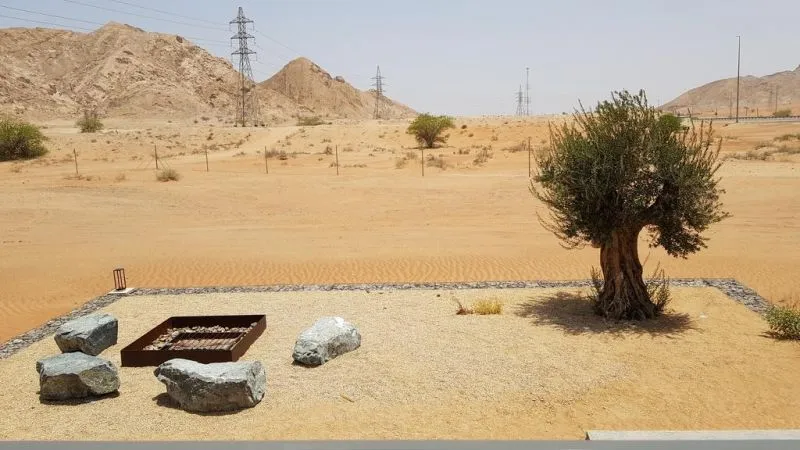 AL FAYA LODGE