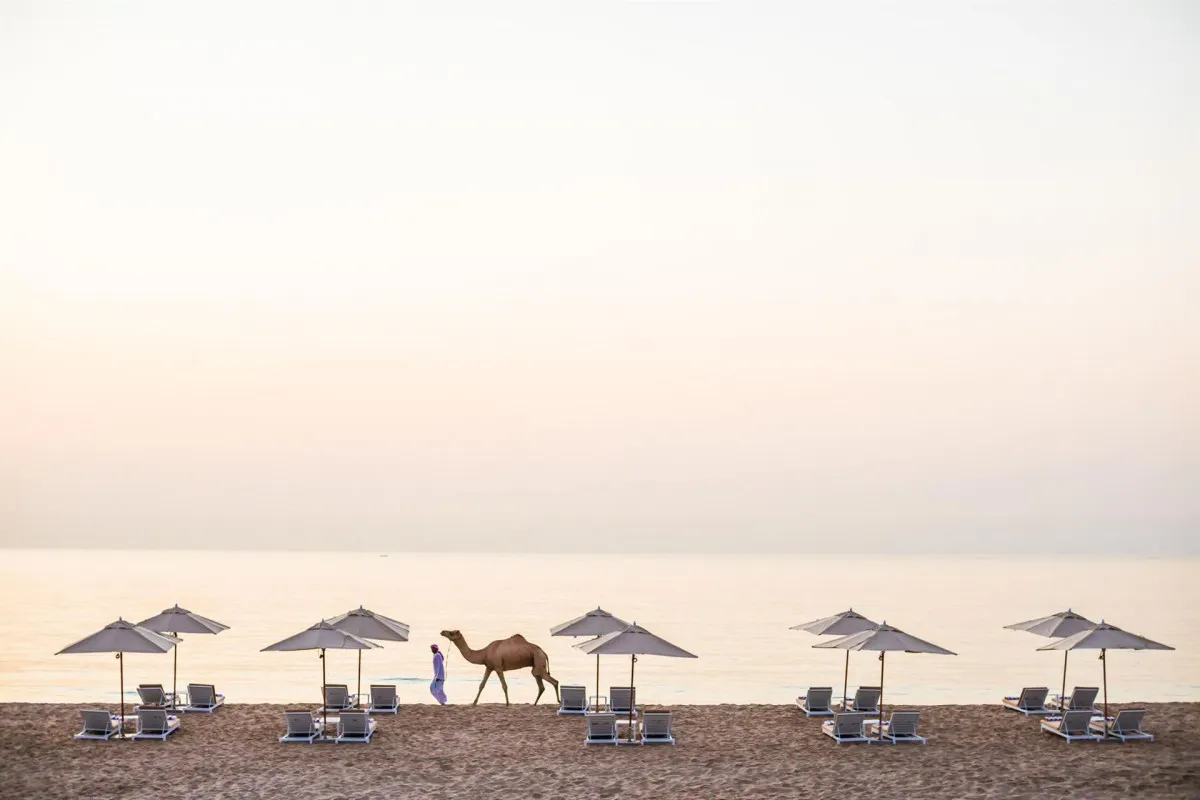 INTERCONTINENTAL FUJAIRAH RESORT