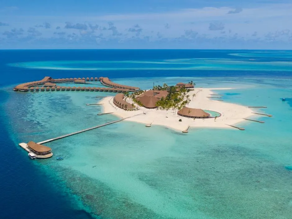 CINNAMON VELIFUSHI