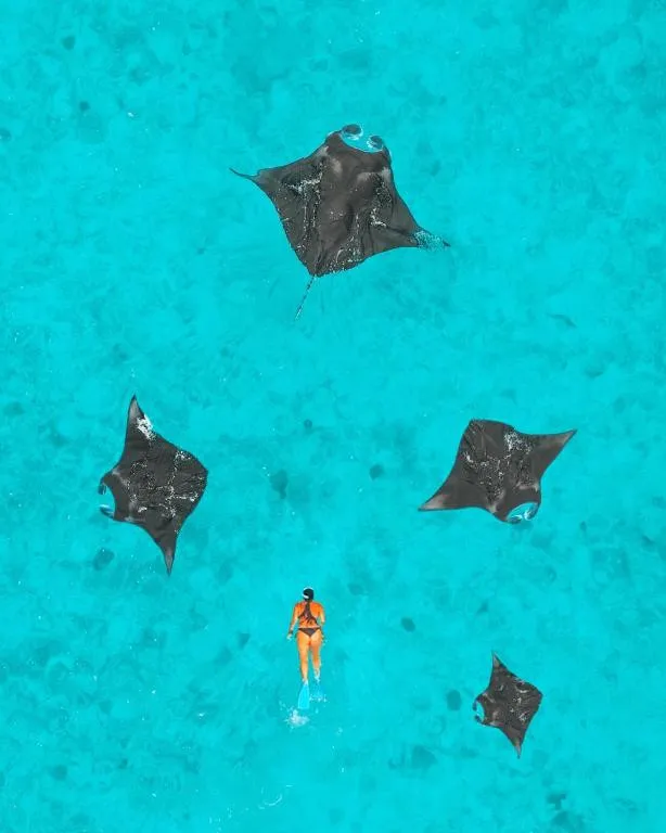 NH COLLECTION REETHI MALDIVES (EX. REETHI BEACH RESORT)