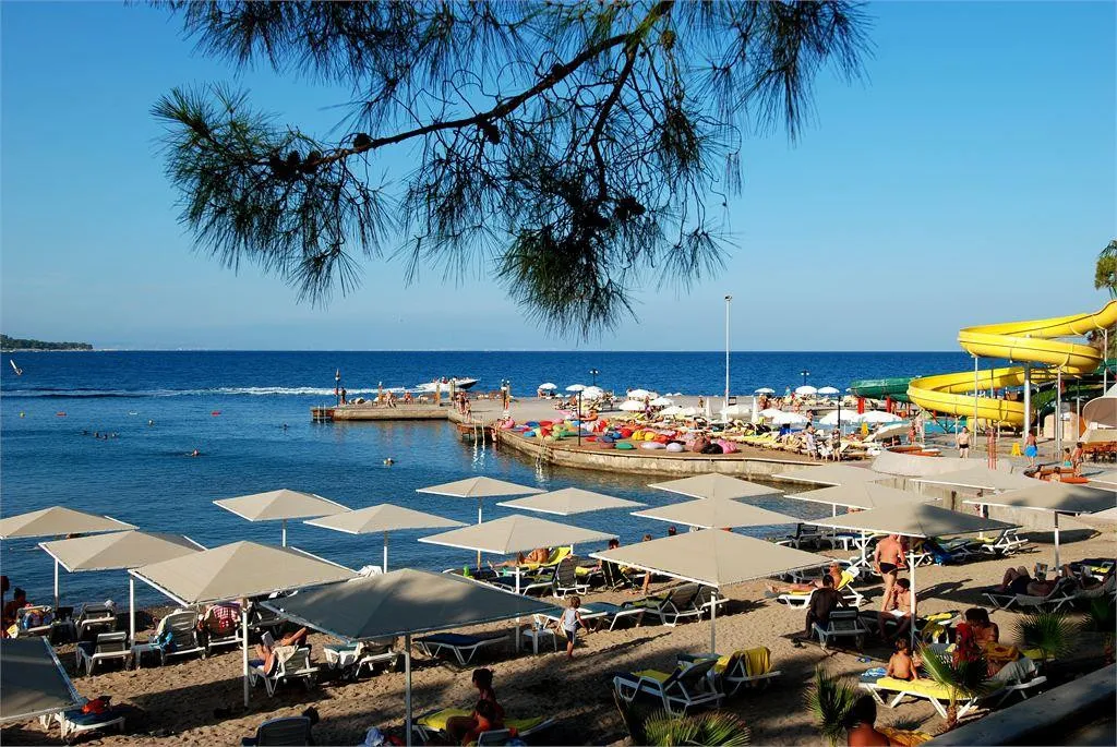 CLUB PHASELIS