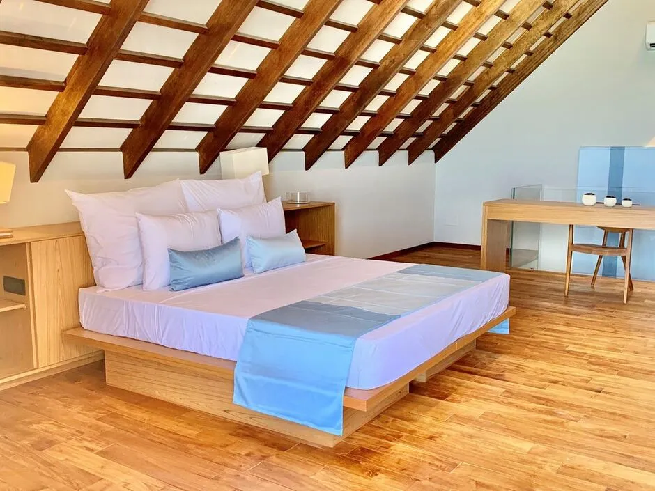 CINNAMON VELIFUSHI