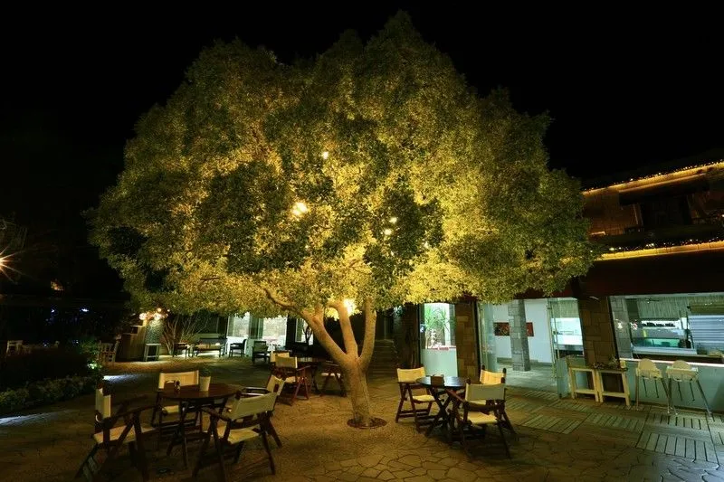 COSTA FARILYA