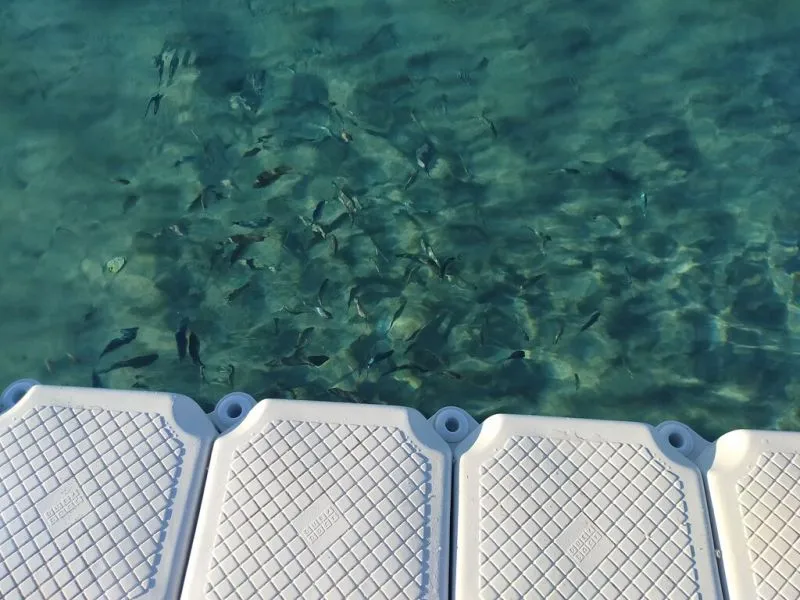 ZIGANA RESORT ALACATI