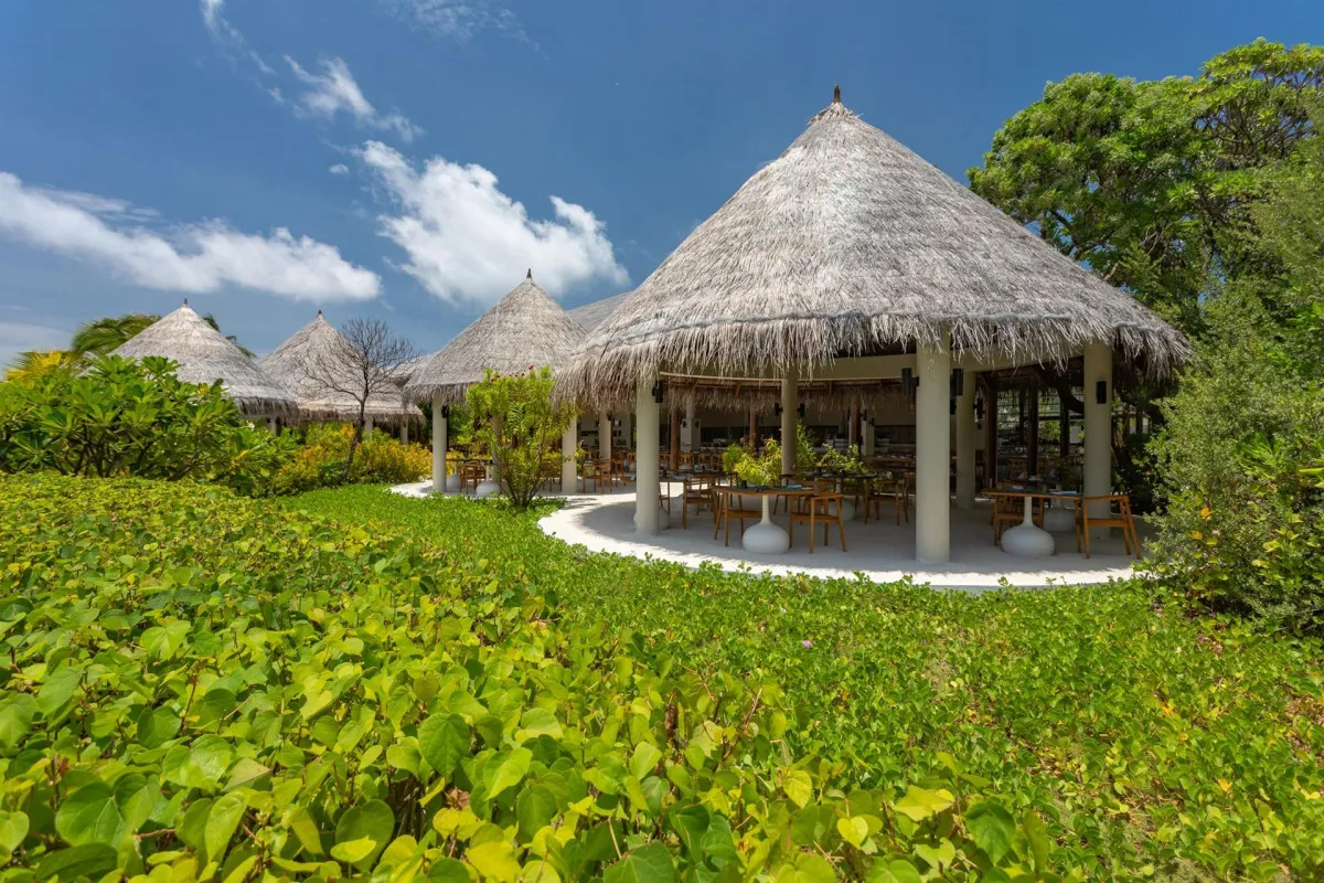 COCOON MALDIVES