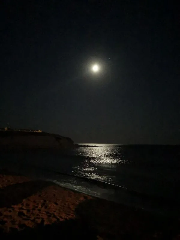 ZIGANA RESORT ALACATI