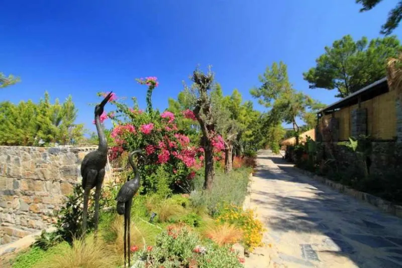 SHAMANA HOTEL & SPA