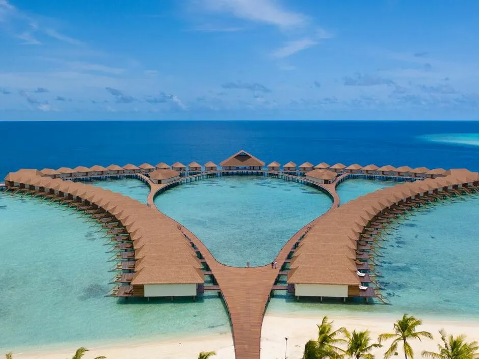 CINNAMON VELIFUSHI