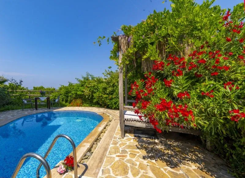 MANDARIN & MANGO BOUTIQUE HOTEL