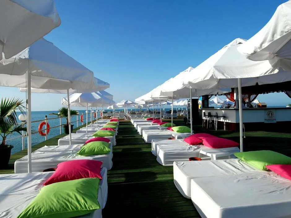 DELPHIN DIVA PREMIERE