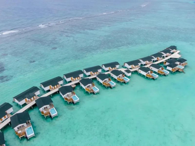 JOY ISLAND