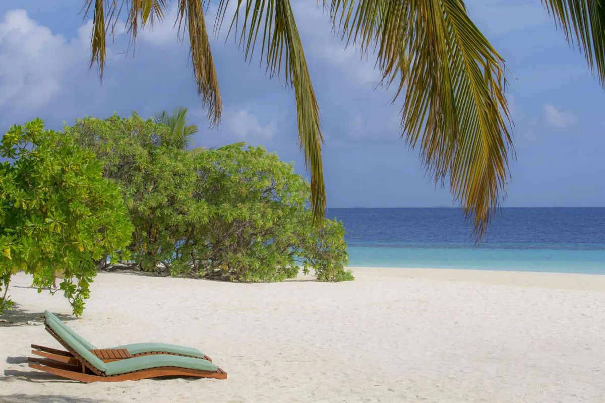 COCO BODU HITHI