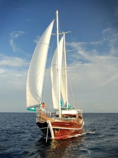 BANYAN VELAA