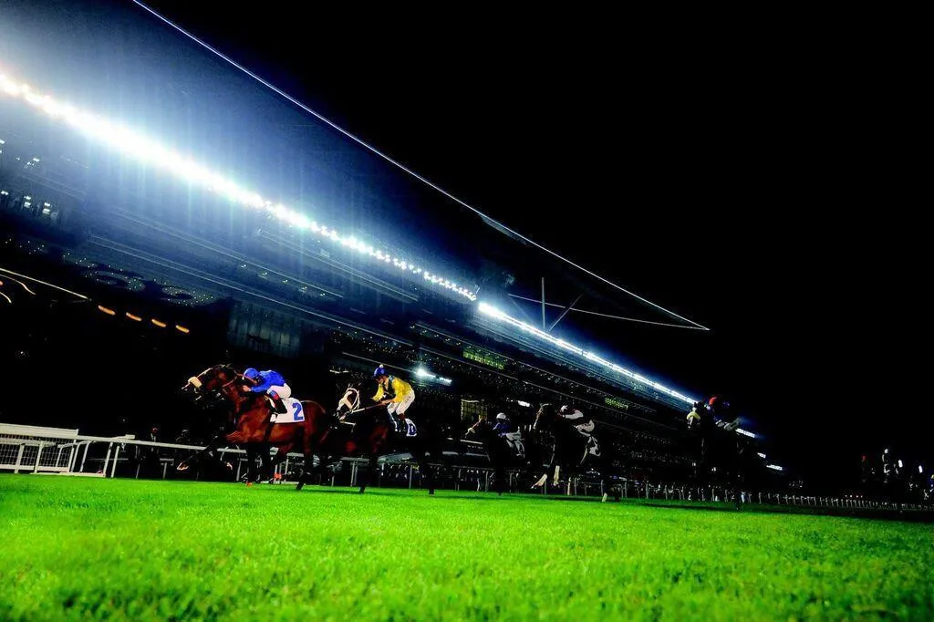 THE MEYDAN