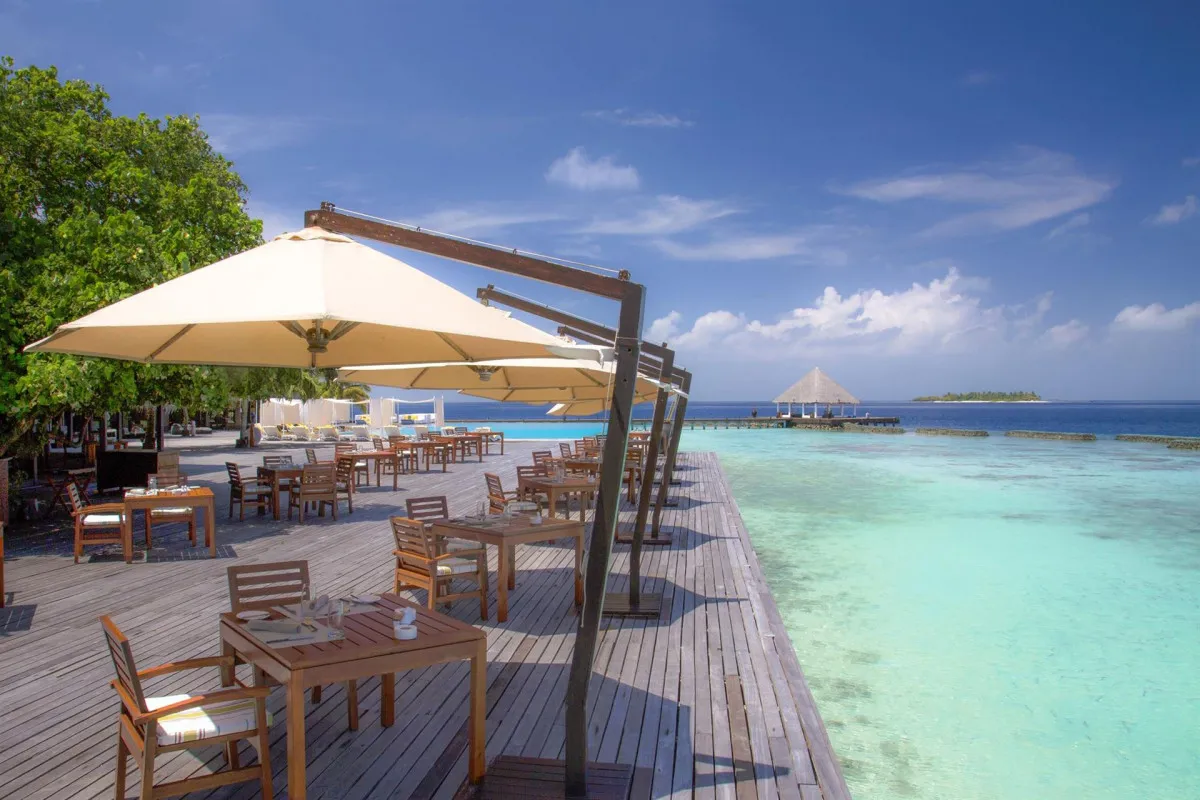 COCO BODU HITHI