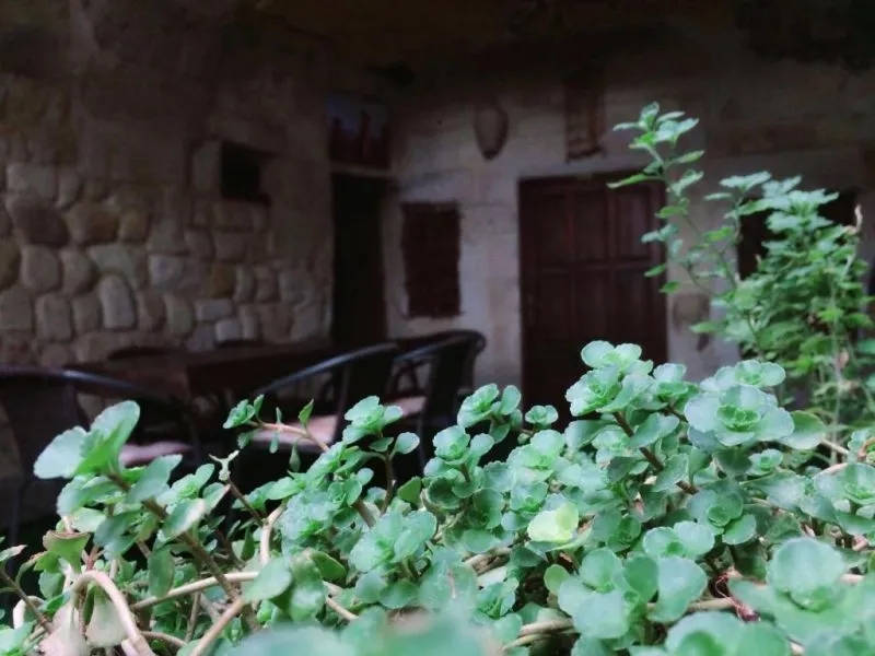 NATURELS CAVE HOUSE