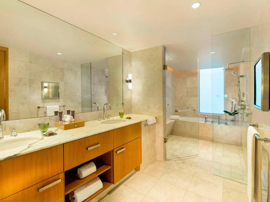 THE RITZ-CARLTON DUBAI INTERNATIONAL FINANCIAL CENTRE