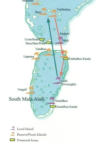 BANYAN VELAA
