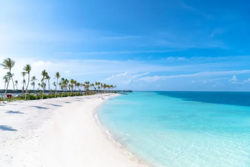 JOY ISLAND